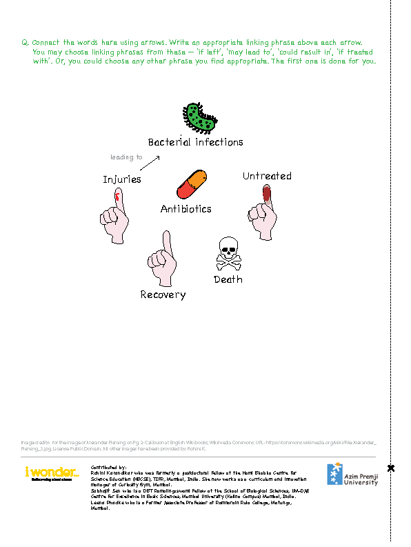 I Wonder Issue 4 May 2020 birth of antibiotics activity sheet 2 Page 6