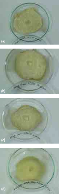 I wonder issue 4 may 2020 birth of antibiotics Figure 1