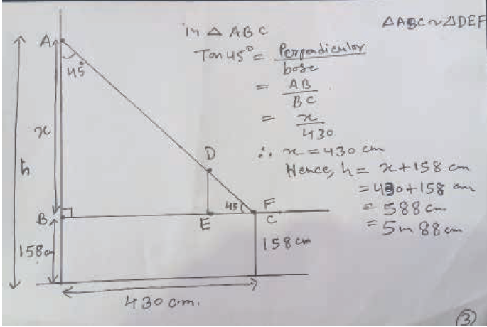 At Ri A issue8 nov2020 the height of a tree Picture 3