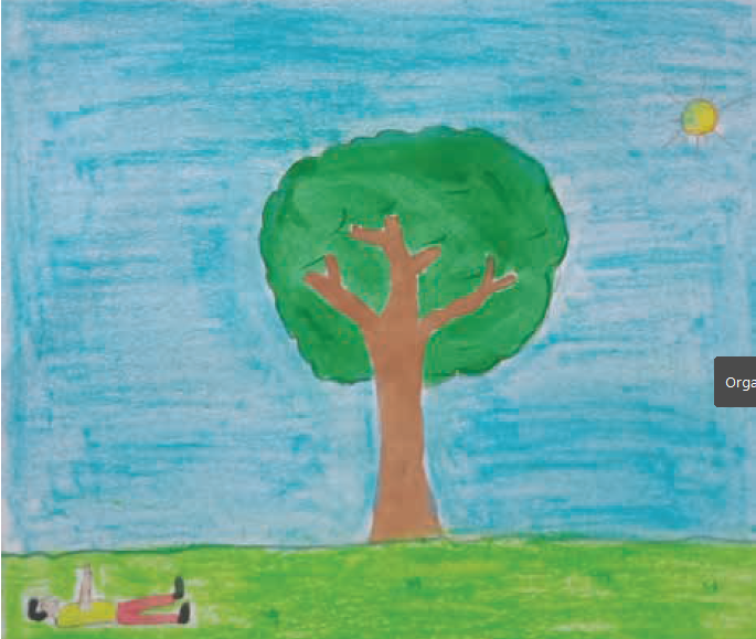 At Ri A issue8 nov2020 the height of a tree Picture 5