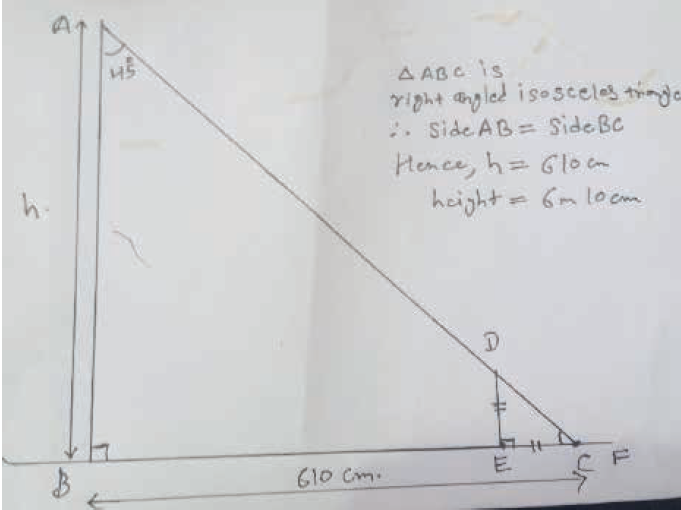 At Ri A issue8 nov2020 the height of a tree Picture 7