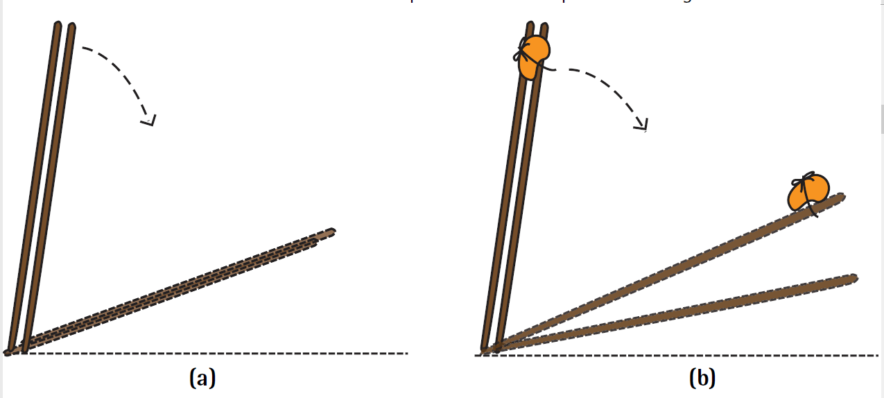I wonder issue 1 aug2018 unravelling physics fig 1