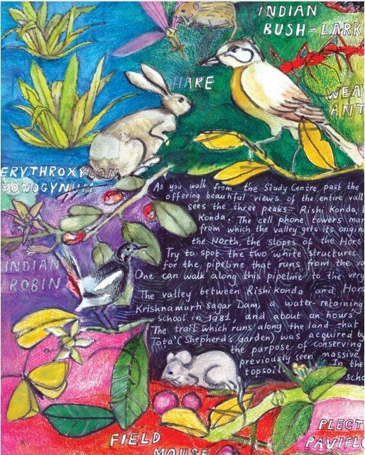 I wonder issue 1 Aug 2018 the exploration of biology through art fig 7