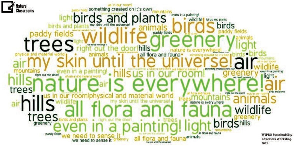 I wonder issue 7 Dec 21 connecting learning to the natural world Fig3
