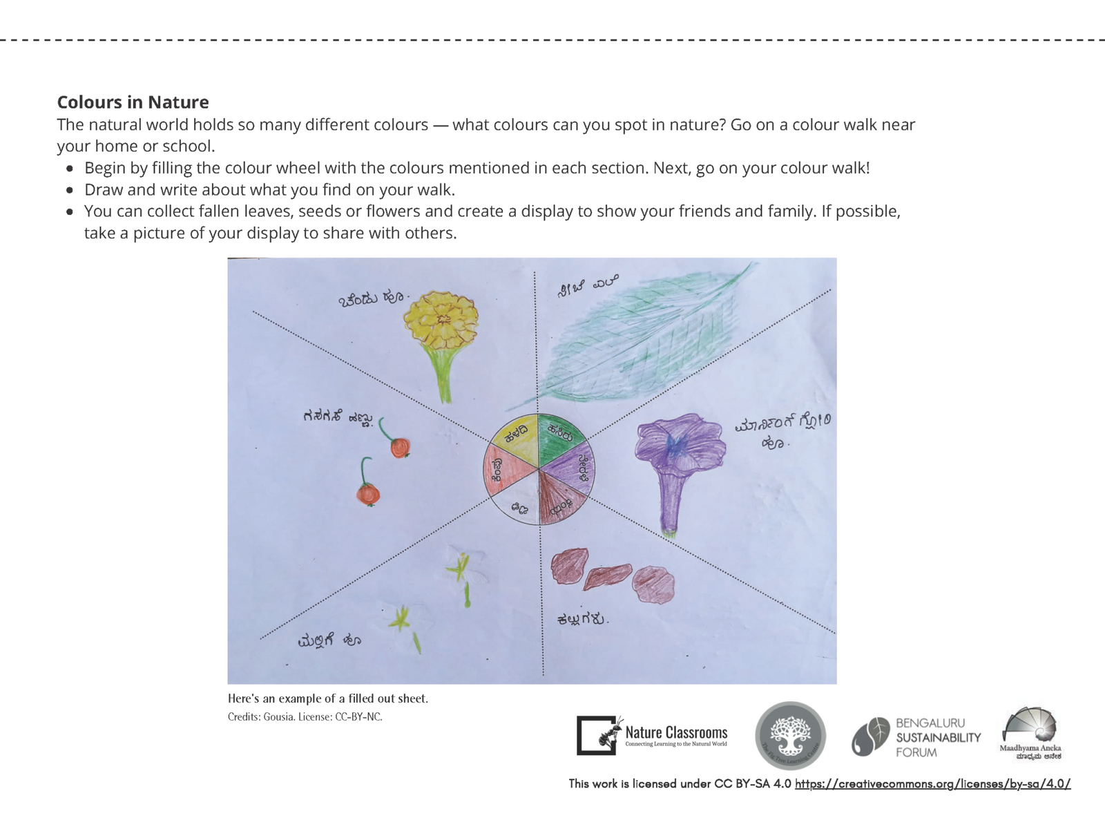 I wonder Issue 7 Dec21 connecting to the natural world activity sheet