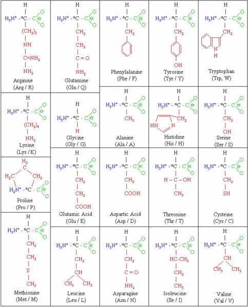 I wonder Nov 2015 the biology of electricity fig 2