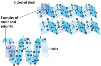 I wonder Nov 2015 the biology of electricity fig 3