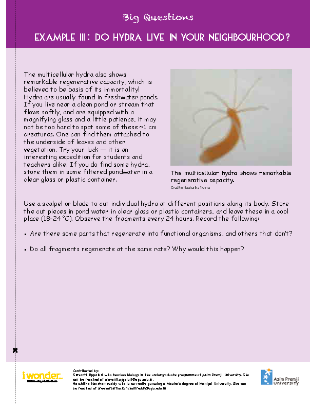 I Wonder Issue 4 May 2020 diving into the world of regeneration examples 3