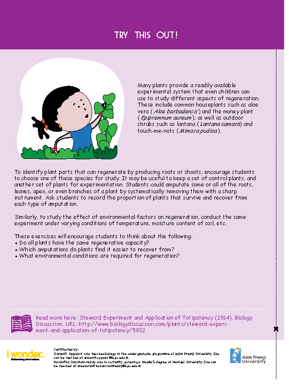 I Wonder Issue 4 Mainto the world of regeneration try this out fig 6