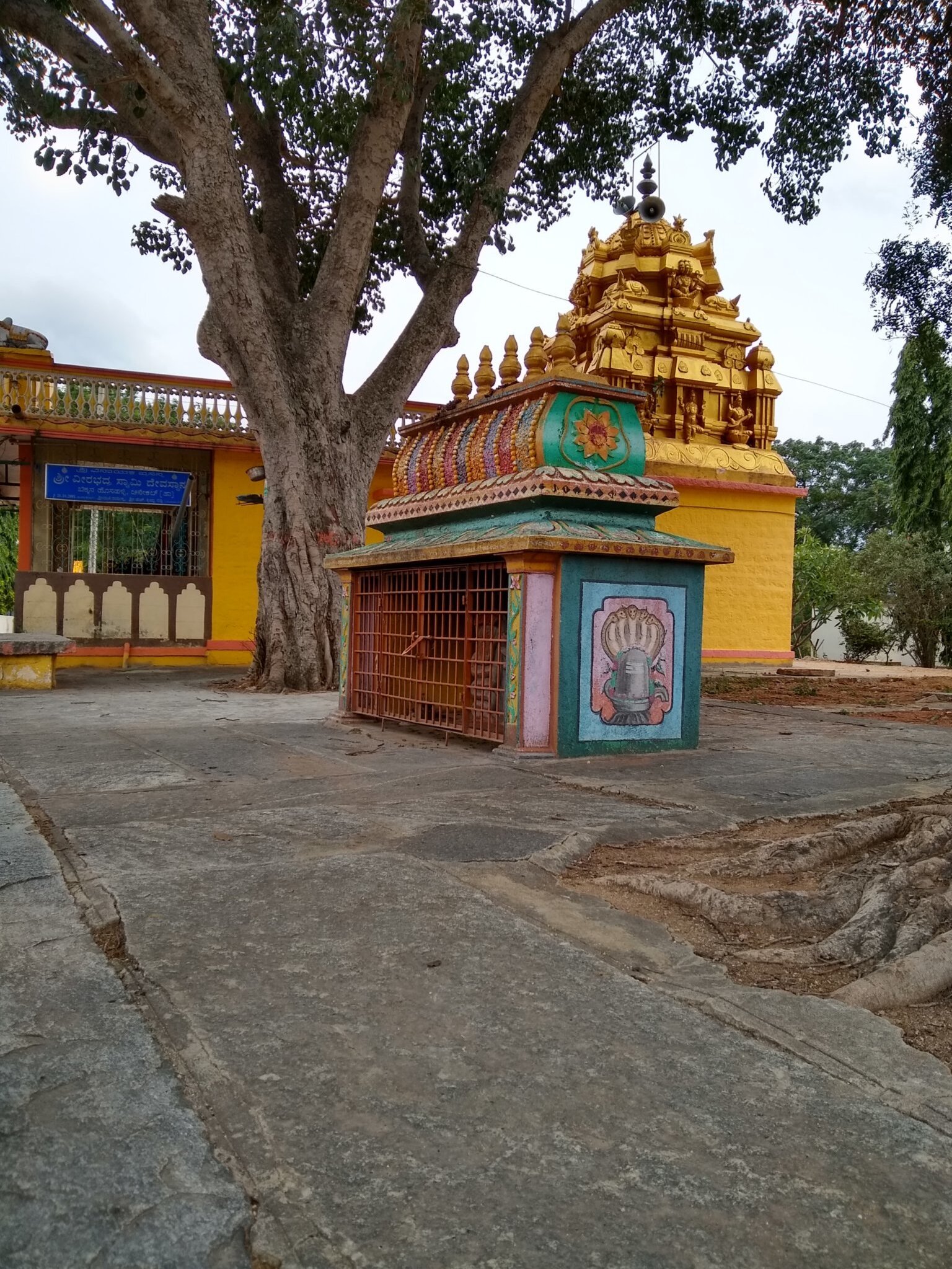 IMG 20180811 135926798 HDR