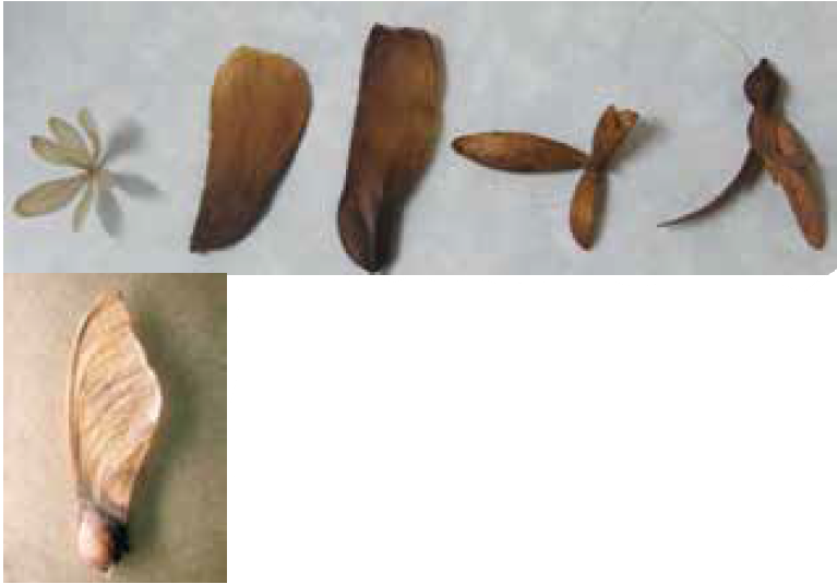 LC issue2 TLM available materials used for science experiements fig 3