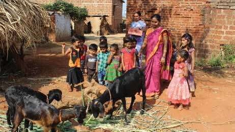 LC Issue 13 Environmental awareness anganwadi Fig 3